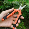 Ciseau de jardin pour mauvaises herbes