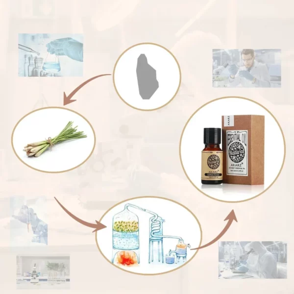 Huile essentielle anti moustique pour diffuseur – Image 5