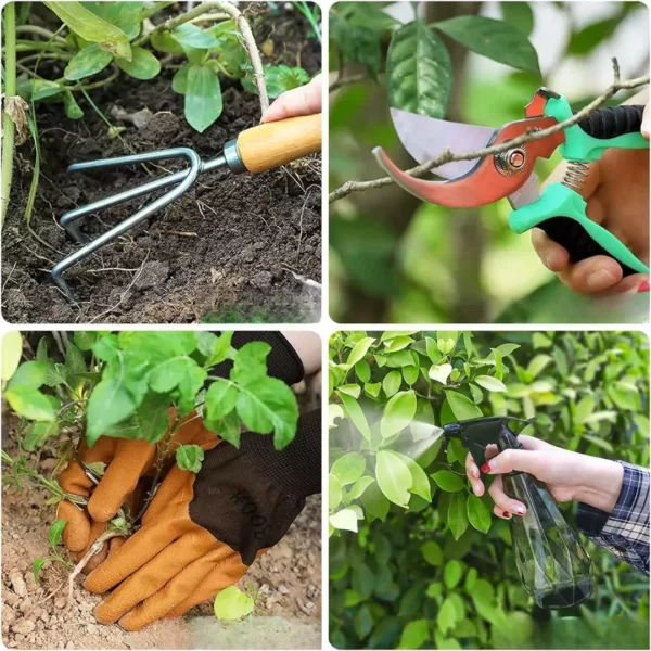 Kit de jardinage en acier inoxydable – Image 3
