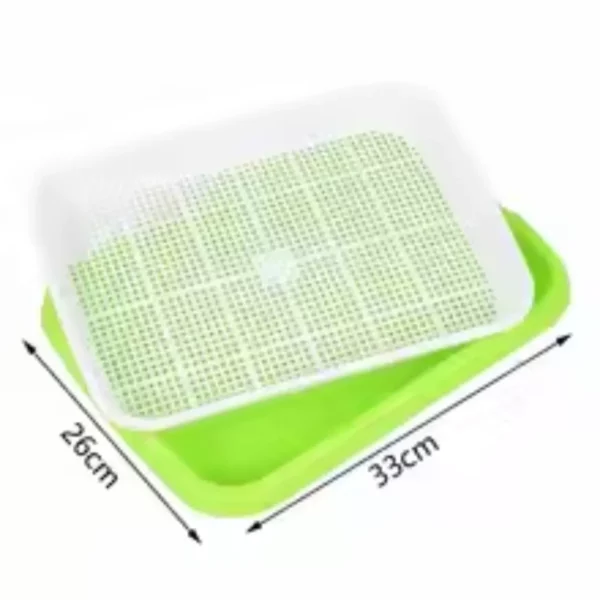 Plateau de germination​ – Image 10