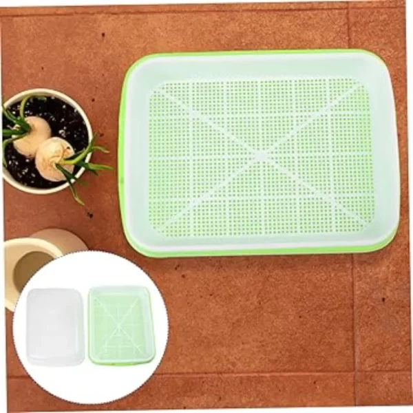 Plateau de germination​ – Image 2
