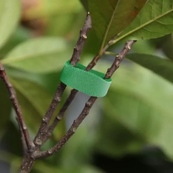 Rouleau attache plante​ – Image 3
