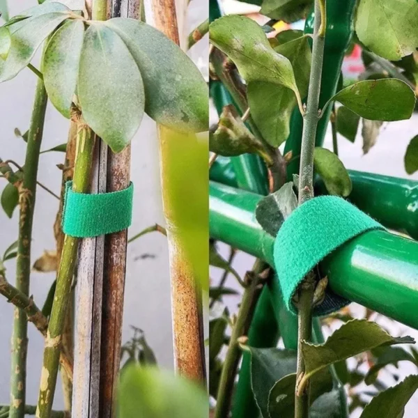 Rouleau attache plante​ – Image 4