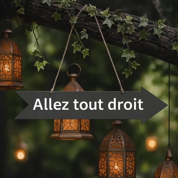 Pancartes directionnelles en bois pour événement – Image 6