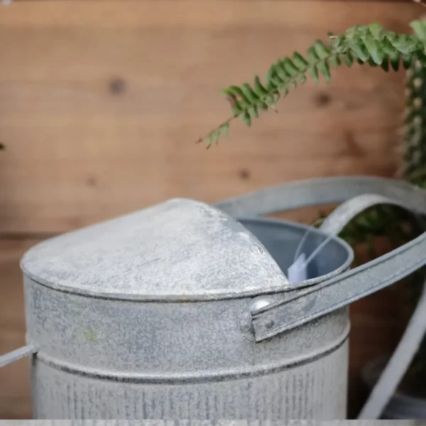 Arrosoir métal zinc pour décoration jardin – charme vintage pour extérieur chic et ambiance champêtre – Image 5