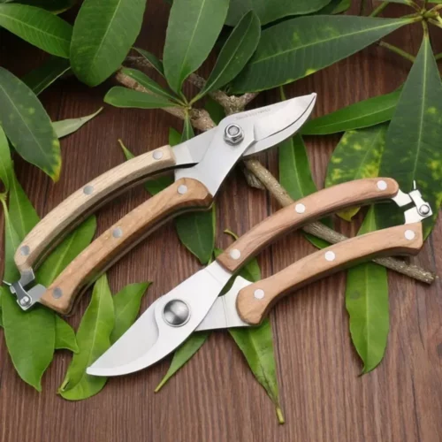 Ciseaux de jardin précision pour bonsaï – Taille ultra précise pour branches fines – Idéal entretien minutieux plantes