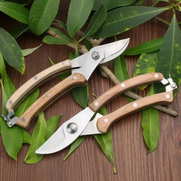 Ciseaux de jardin précision pour bonsaï – Taille ultra précise pour branches fines – Idéal entretien minutieux plantes