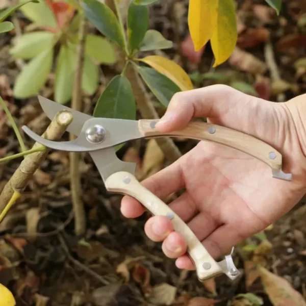Ciseaux de jardin précision pour bonsaï – Taille ultra précise pour branches fines – Idéal entretien minutieux plantes – Image 3