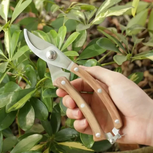 Ciseaux de jardin précision pour bonsaï – Taille ultra précise pour branches fines – Idéal entretien minutieux plantes – Image 4