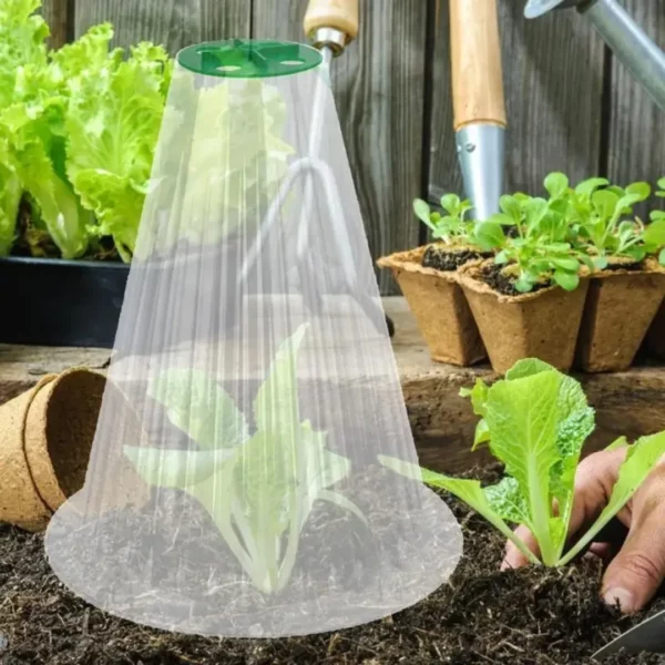 Cloche de protection transparente pour jeunes pousses – Accélérez la croissance et protégez efficacement vos plantations – Image 2