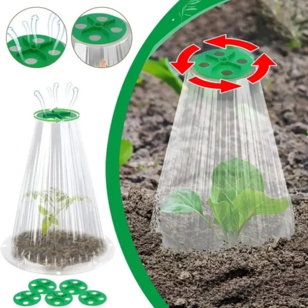 Cloche de protection transparente pour jeunes pousses – Accélérez la croissance et protégez efficacement vos plantations – Image 3