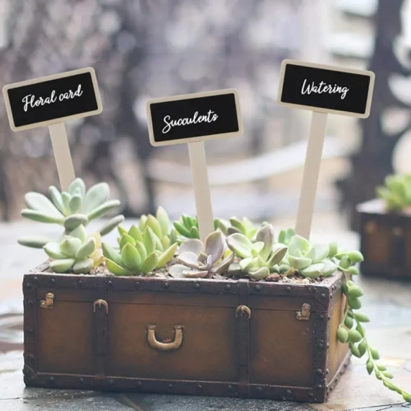 Étiquettes ardoise pour plantes aromatiques jardin – Identification élégante et durable pour potager maison – Image 3