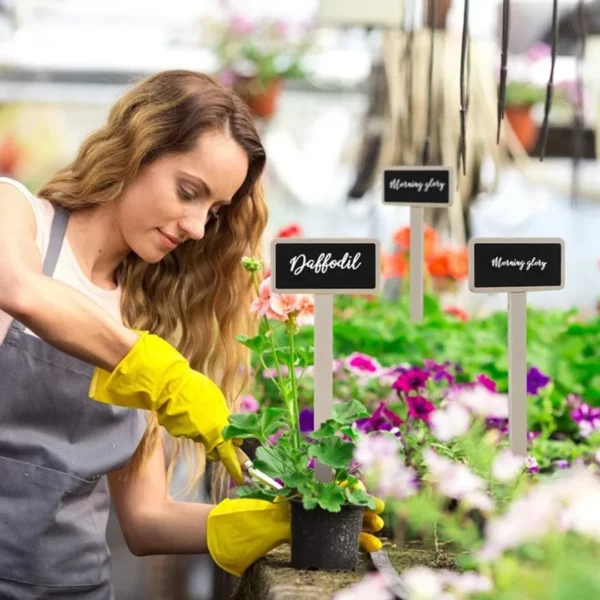 Étiquettes ardoise pour plantes aromatiques jardin – Identification élégante et durable pour potager maison – Image 4