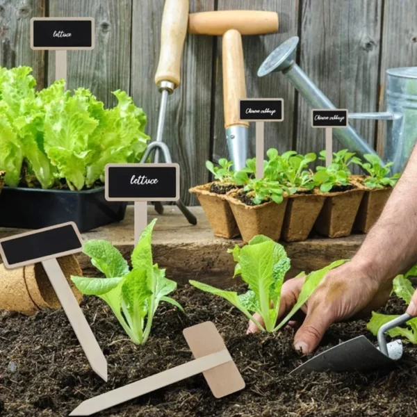 Étiquettes ardoise pour plantes aromatiques jardin – Identification élégante et durable pour potager maison – Image 5