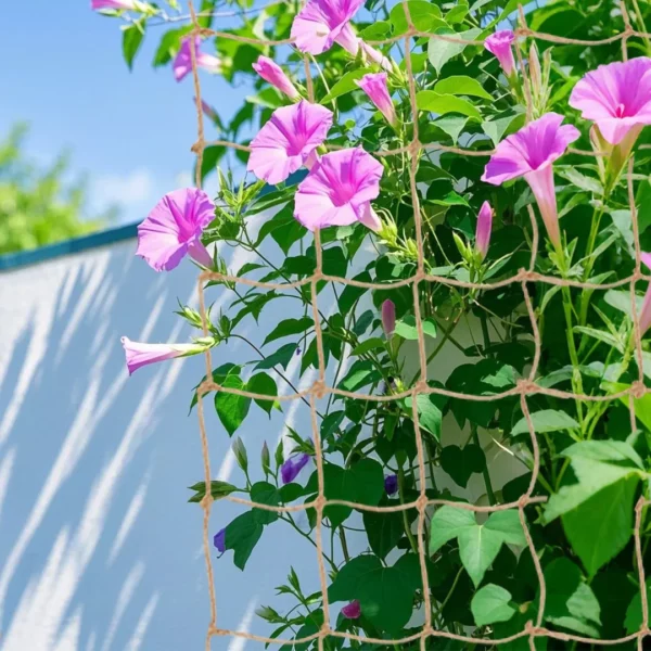 Ficelle de jardinage biodégradable en jute – Écologique, résistante et idéale pour potager durable – Image 2