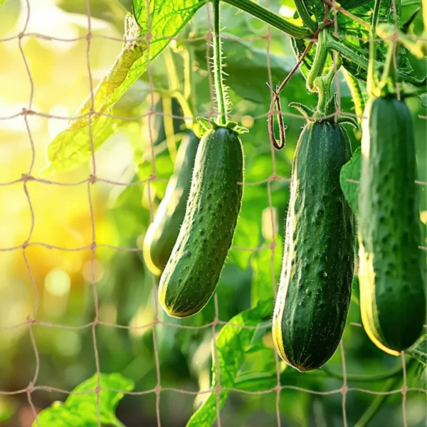 Ficelle de jardinage biodégradable en jute – Écologique, résistante et idéale pour potager durable – Image 3