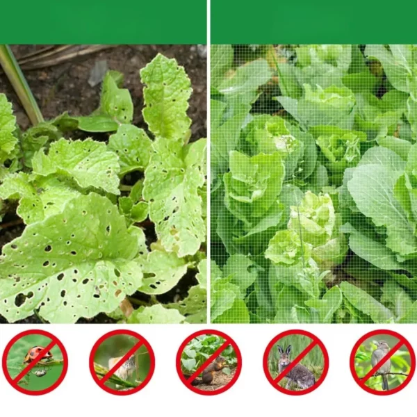 Filet anti-insectes pour potager maille fine – Protection efficace contre ravageurs et nuisibles – Cultures saines garantis – Image 4