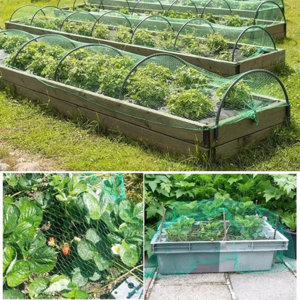 Filet de protection contre oiseaux pour potager – Image 4