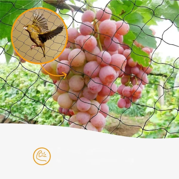 Filet de protection contre oiseaux pour potager – Image 5
