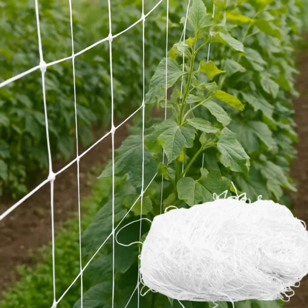 Filet de soutien pour haricots grimpants – Croissance optimale et récolte abondante – Facile à installer et durable – Image 2