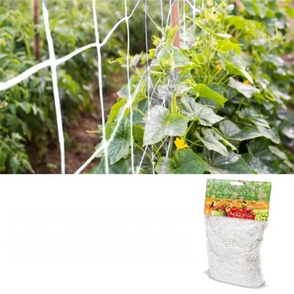 Filet de soutien pour haricots grimpants – Croissance optimale et récolte abondante – Facile à installer et durable – Image 3