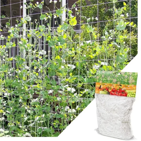 Filet de soutien pour haricots grimpants – Croissance optimale et récolte abondante – Facile à installer et durable – Image 4