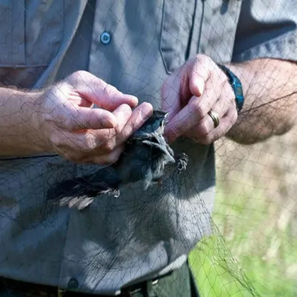 Filets de protection fruits contre oiseaux – Protégez vos récoltes efficacement sans produits chimiques – Image 3