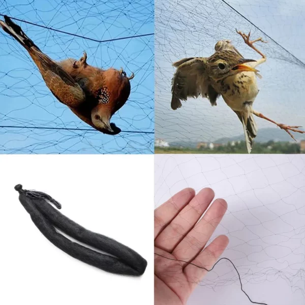 Filets de protection fruits contre oiseaux – Protégez vos récoltes efficacement sans produits chimiques – Image 4