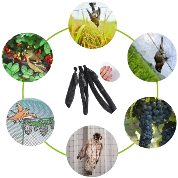 Filets de protection fruits contre oiseaux – Protégez vos récoltes efficacement sans produits chimiques – Image 5
