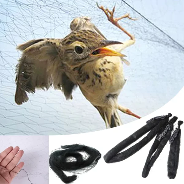 Filets de protection fruits contre oiseaux – Protégez vos récoltes efficacement sans produits chimiques – Image 6