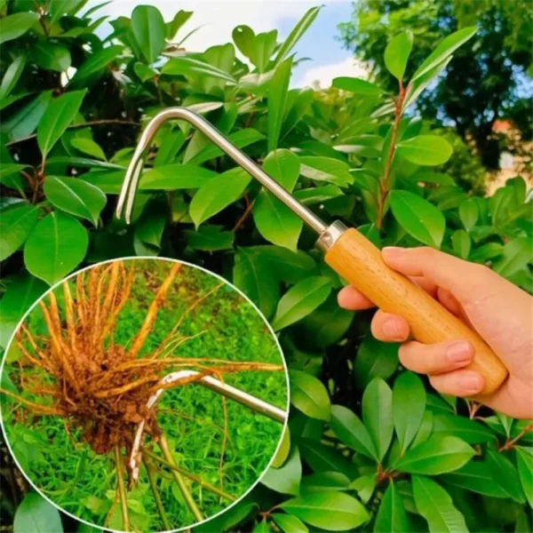 Griffe de désherbage à main acier inox – Outil jardinage précis et durable pour désherber sans effort – Image 2