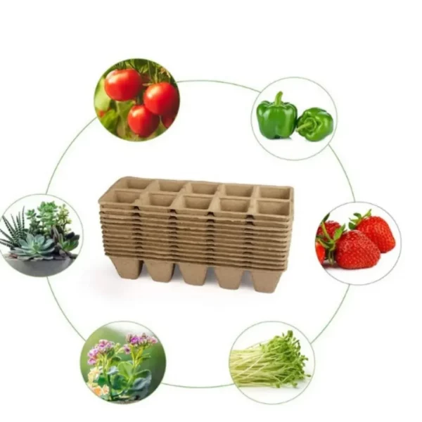 Kit de bouturage plantes avec godets biodégradables – Pour des semis naturels et une croissance saine sans plastique – Image 3