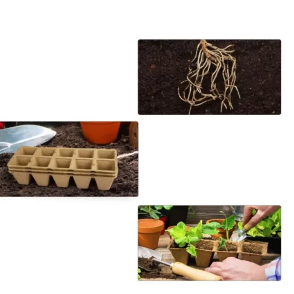 Kit de bouturage plantes avec godets biodégradables – Pour des semis naturels et une croissance saine sans plastique – Image 4