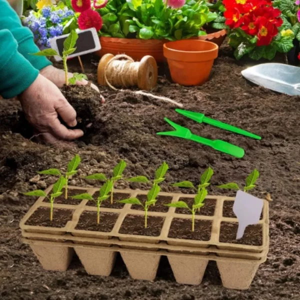 Kit de bouturage plantes avec godets biodégradables – Pour des semis naturels et une croissance saine sans plastique – Image 5