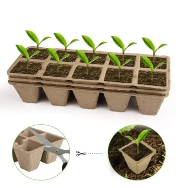 Kit de bouturage plantes avec godets biodégradables – Pour des semis naturels et une croissance saine sans plastique – Image 6