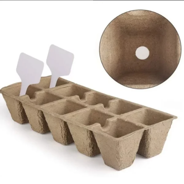 Kit de bouturage plantes avec godets biodégradables – Pour des semis naturels et une croissance saine sans plastique – Image 2
