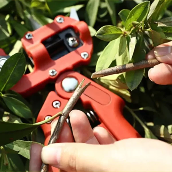 Kit greffage arbres fruitiers avec élastiques – Greffes faciles et réussies pour verger productif – Image 2