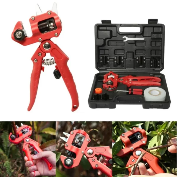 Kit greffage arbres fruitiers avec élastiques – Greffes faciles et réussies pour verger productif – Image 3