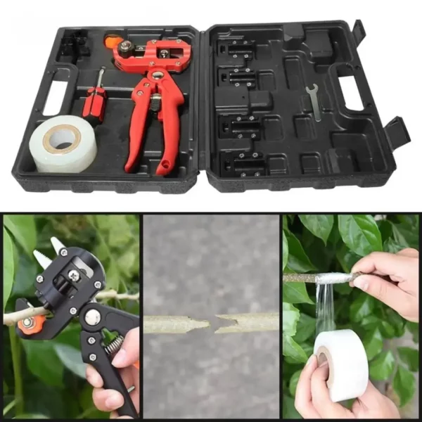Kit greffage arbres fruitiers avec élastiques – Greffes faciles et réussies pour verger productif – Image 4