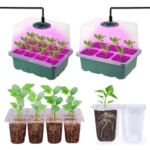 Kit plantation graines fleurs balcon été – Créez un balcon fleuri et coloré tout l'été sans effort