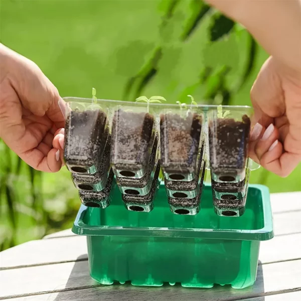 Kit plantation graines fleurs balcon été – Créez un balcon fleuri et coloré tout l'été sans effort – Image 2