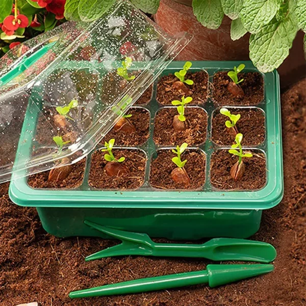 Kit plantation graines fleurs balcon été – Créez un balcon fleuri et coloré tout l'été sans effort – Image 3