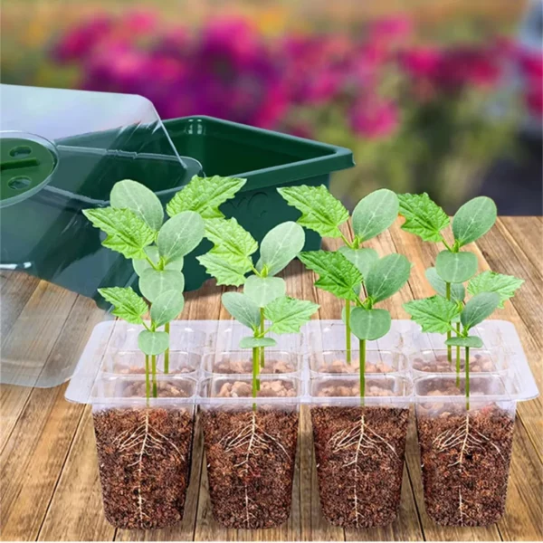 Kit plantation graines fleurs balcon été – Créez un balcon fleuri et coloré tout l'été sans effort – Image 4