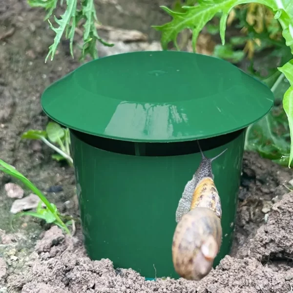 Piège à limaces jardin sans produits chimiques – Protection écoresponsable et efficace pour vos plantations – Image 2