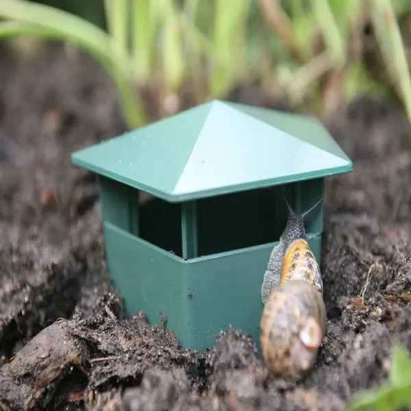 Piège à limaces jardin sans produits chimiques – Protection écoresponsable et efficace pour vos plantations – Image 3