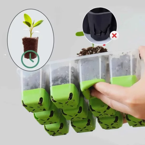 Plateau semis alvéolé avec couvercle transparent – Germination rapide et protégée – Idéal jardinage facile et réussi – Image 5