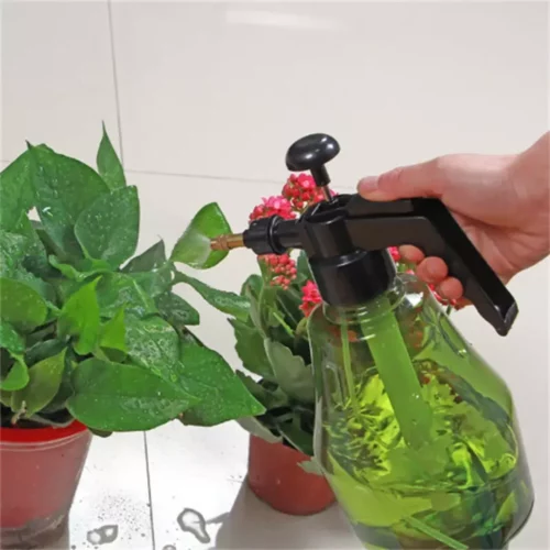 Pulvérisateur manuel pression pour plantes extérieures – Arrosage facile et précis – Idéal jardin et balcon