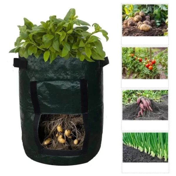 Sac plantation pommes de terre avec rabat – Récolte facile et abondante sans creuser, jardinage propre et pratique – Image 3