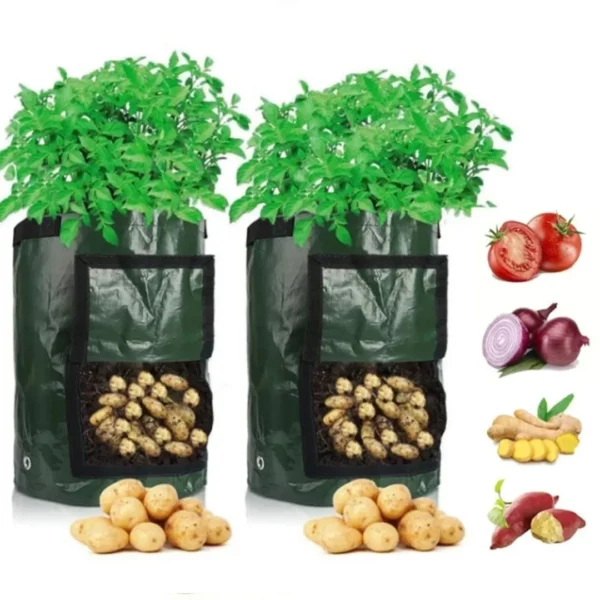 Sac plantation pommes de terre avec rabat – Récolte facile et abondante sans creuser, jardinage propre et pratique – Image 2