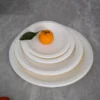 Set vaisselle compostable pour pique-nique